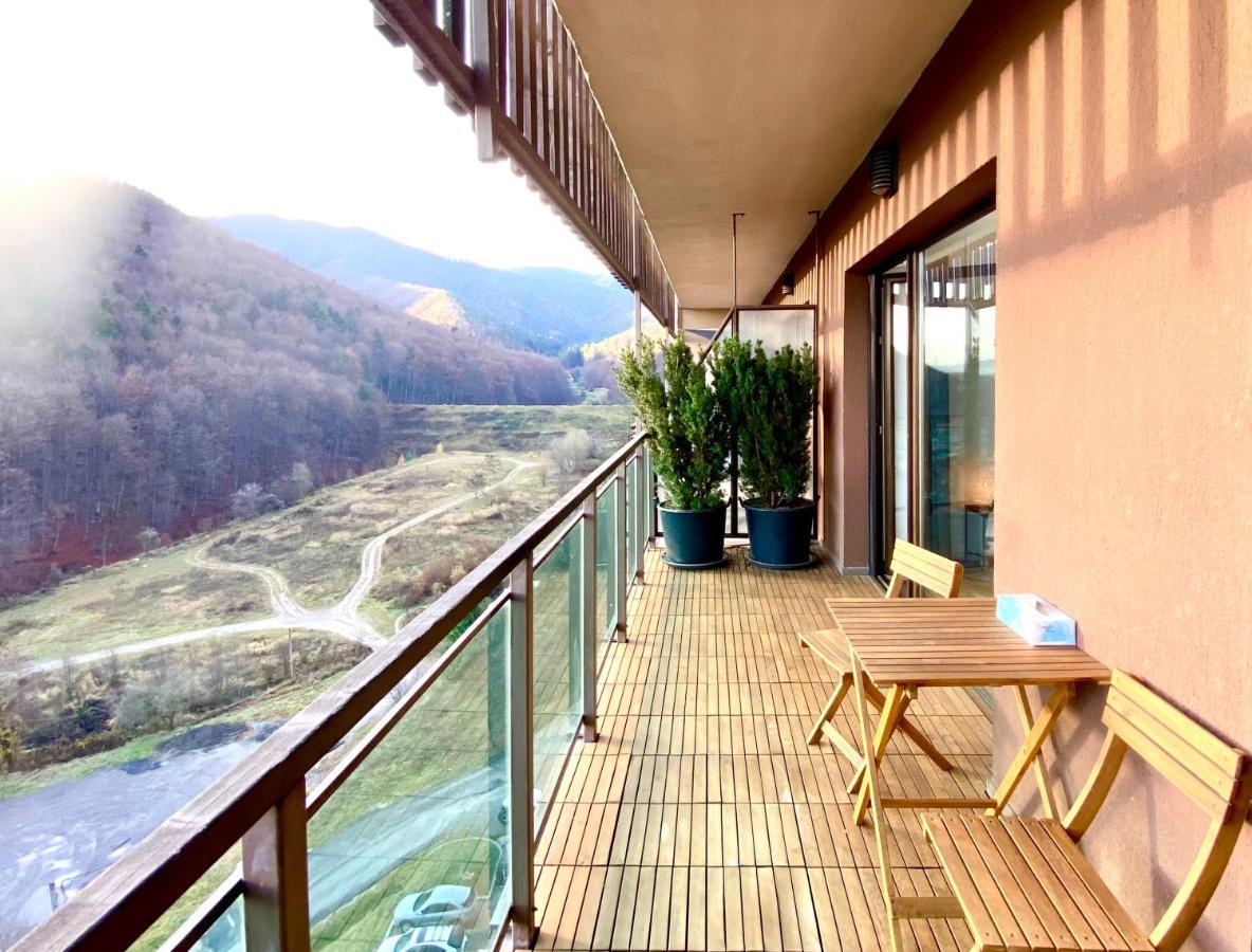 Cosy Hollow - Pet Friendly Apartment Brasov