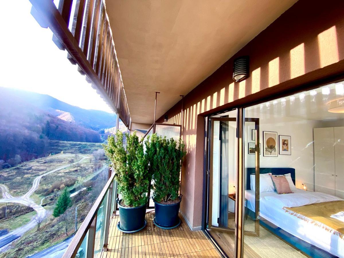 Cosy Hollow - Pet Friendly *