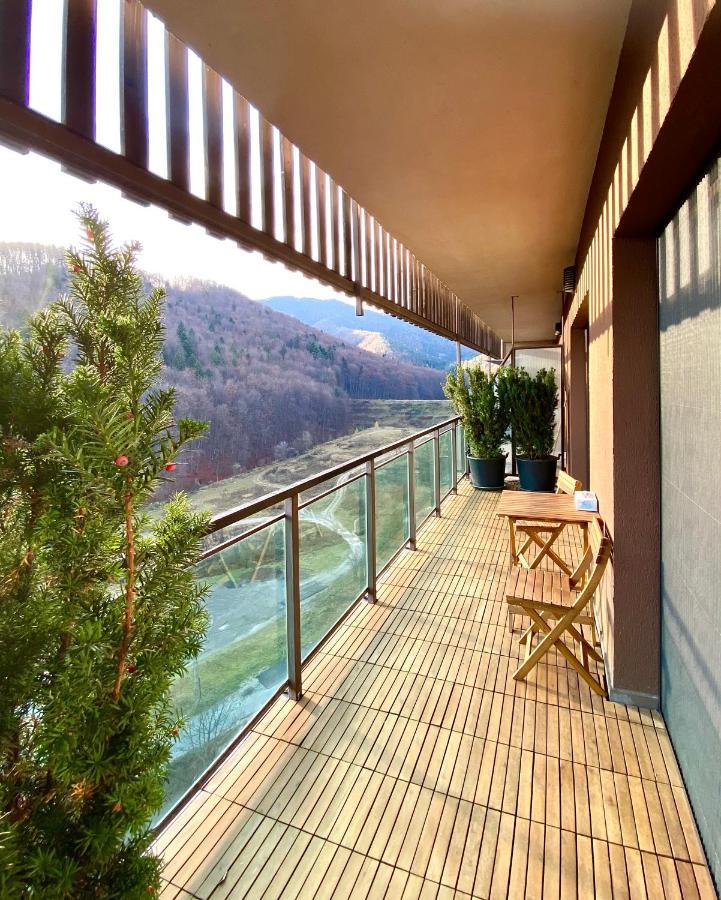 Cosy Hollow - Pet Friendly Brasov